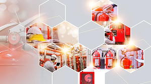 Asset Management System